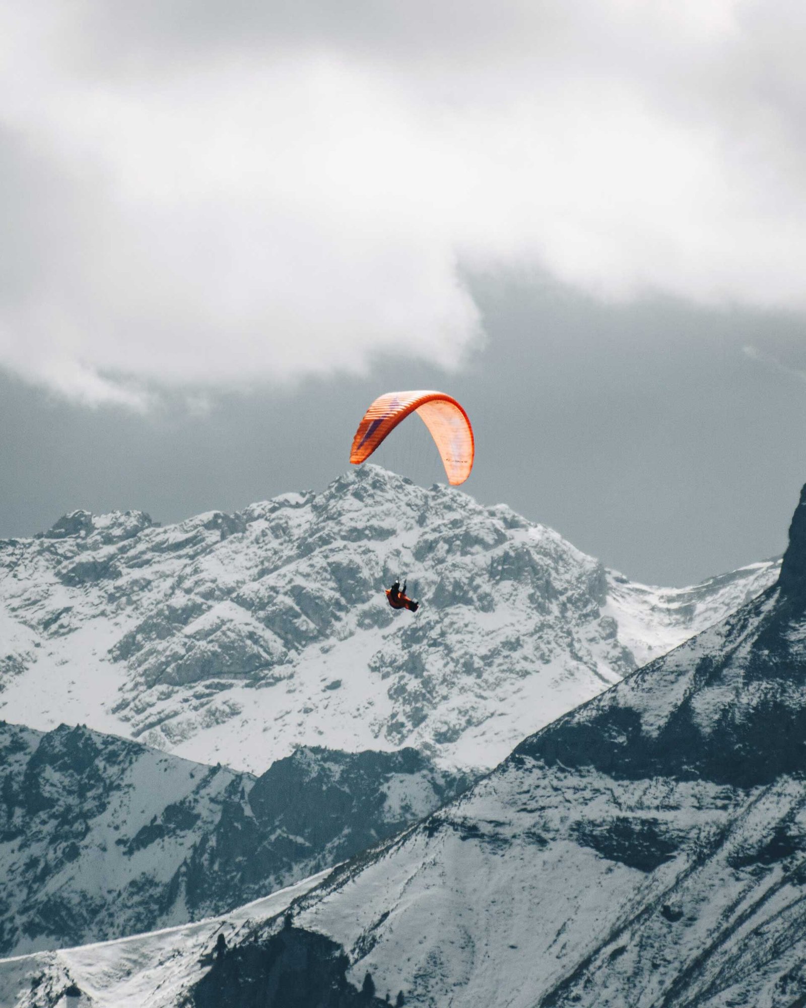 Desi South Asian’s Skydiving